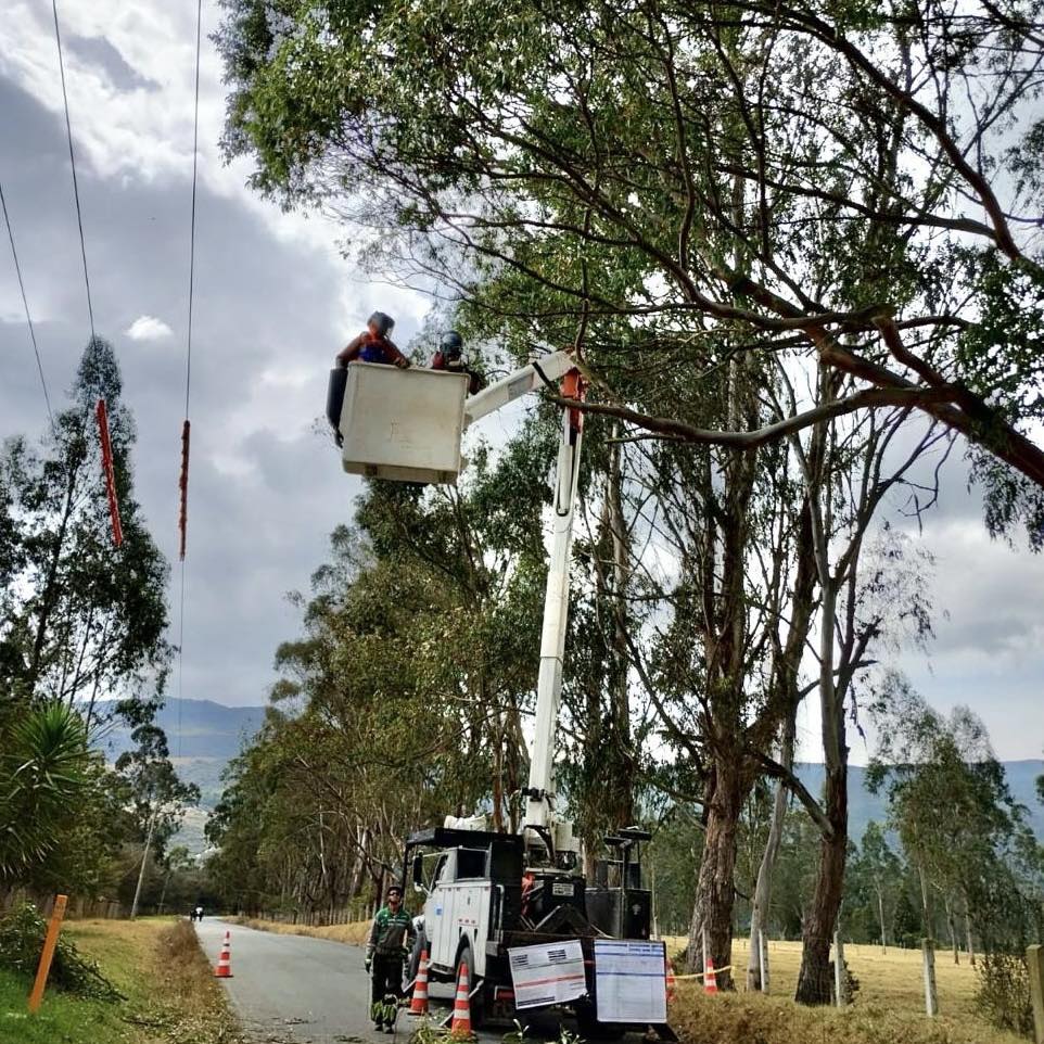 Arreglo de cableado en el municipio